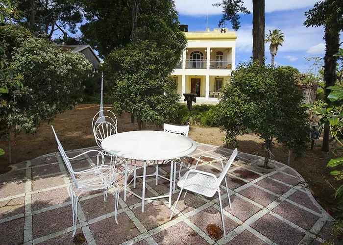 Colonial فيلة